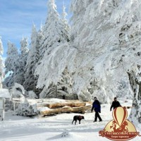 В Европе мороз и снегопад - Бюро туризма "Путешественник", Екатеринбург