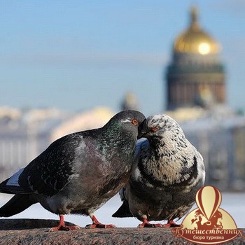 ТУР В САНКТ-ПЕТЕРБУРГ НА ВЕСЕННИЕ КАНИКУЛЫ - ЗАНИМАТЕЛЬНЫЙ САНКТ-ПЕТЕРБУРГ